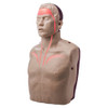 Brayden PRO CPR Manikin (Bluetooth Connectivity) | Mega Office Supplies
