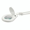 AeroSupplies (12cm diameter, 115cm extension) LED Magnifying Lamp with Table Clamp | Mega Office Supplies