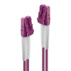 Lindy 2m Fibre Optic Cable LC-LC OM4 Pink