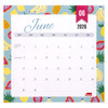 Sasco Magnetic Calendars Assorted 325 x 315mm 2026