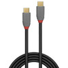 USB 3.2 Type C to C Cable 20Gbps 5A PD Anthra Line Lindy 2m