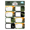 Spencil Book Labels Pack 16 Box of 6 Jurassic Kingdom Spencil Book Labels Pack 16 Box of 6 Jurassic Kingdom