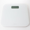 Compass Ivory Slim Scale
