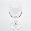 Connoisseur 250ml Berlin Wine Glass Pack of 24