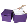 Marbig Archive Box Coloured Assorted Sto-Aways Pack of 2