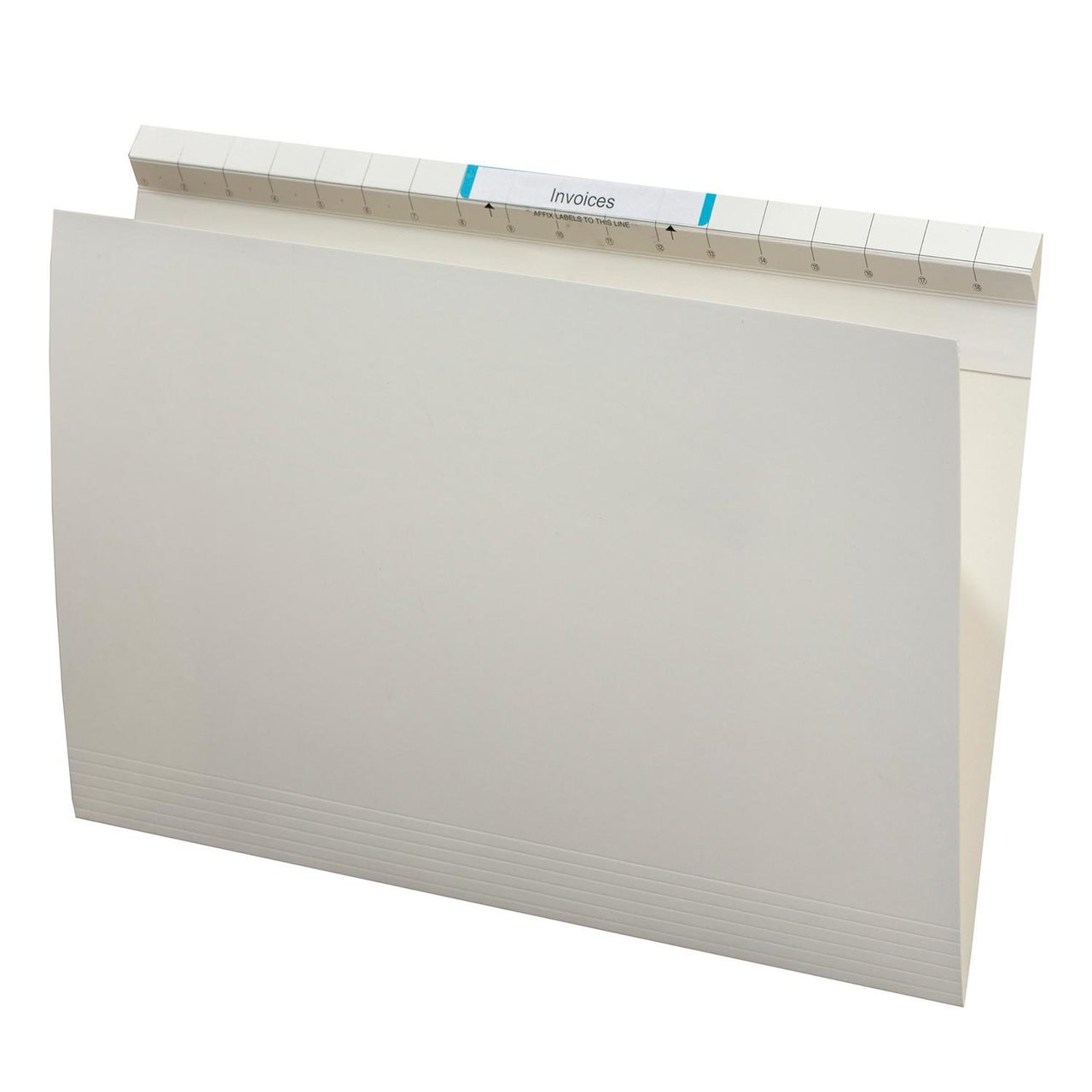 Avery 166007 Quickvue Files With File Title Labels Foolscap
