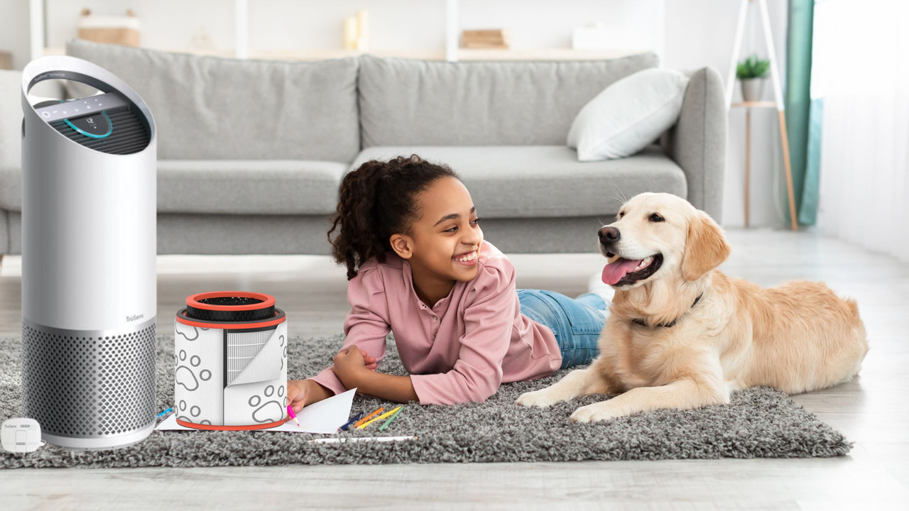 Breathe Easy with TruSens Humidifiers: Features, Benefits, and Applications Breathe Easy with TruSens Humidifiers: Features, Benefits, and Applications