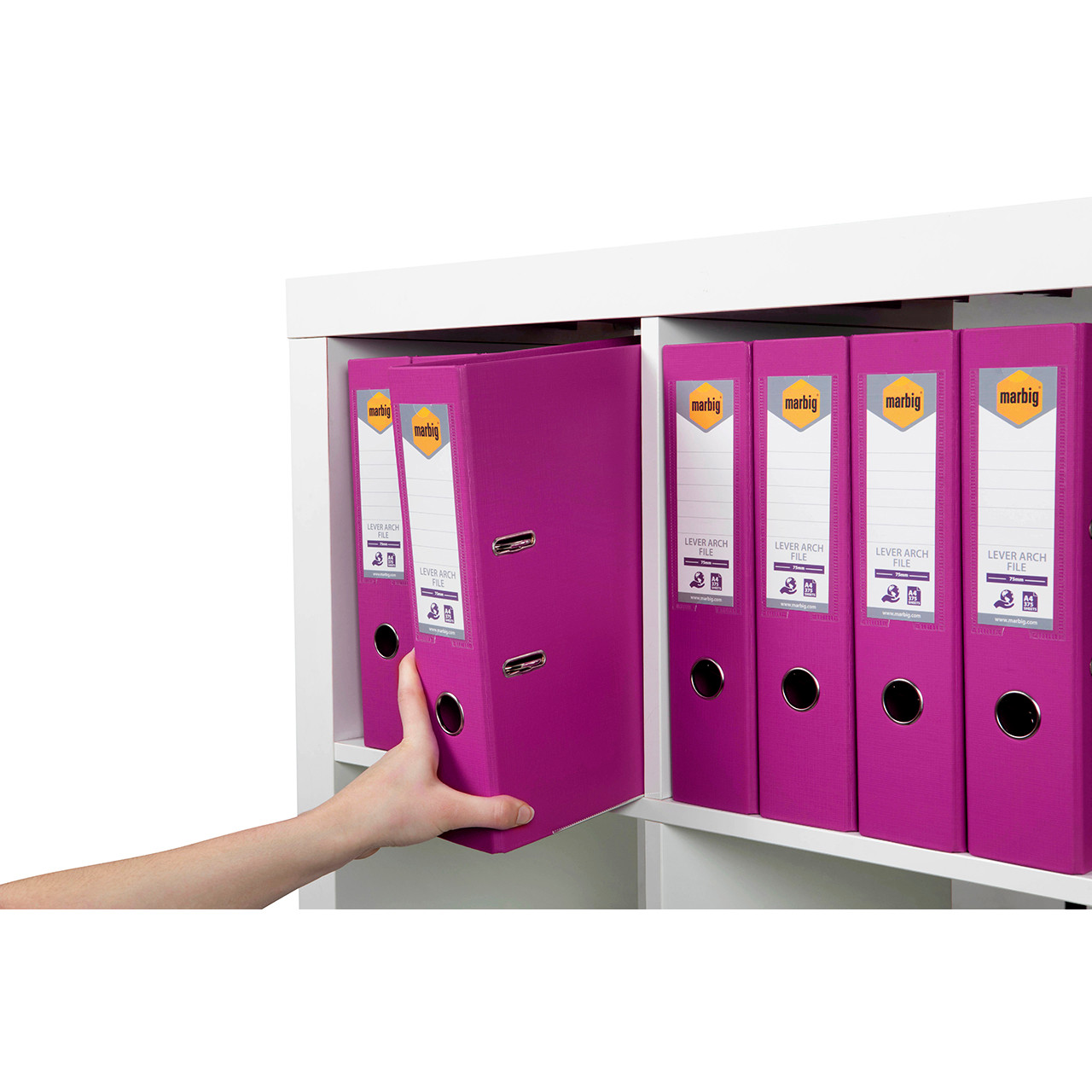 Marbig 6601032 レバーアーチファイル PE A4 ライム Marbig #6601009