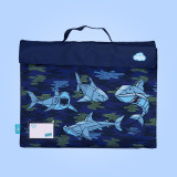 Library Bags