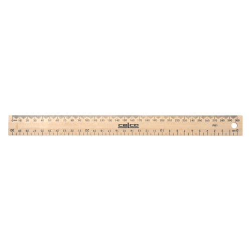 Transparent Ruler (12 Metric & Inches Rulers) Hard Plastic. Perfect  Precision for a School or College Student and Teacher Resource Supply.
