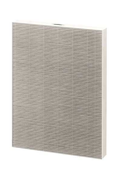 AeraMax DX95 True HEPA Filter