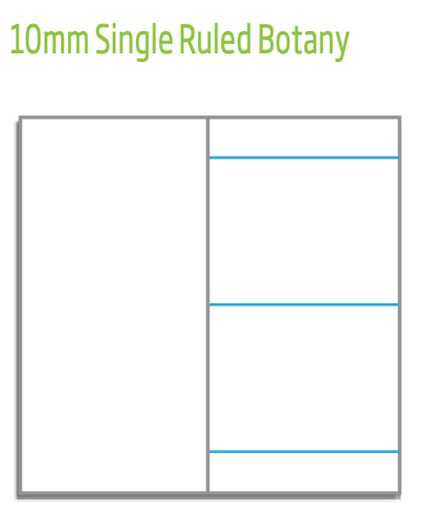 Olympic NSW Student Notebook 250 x 175mm Single Ruled 10mm Light Grey Box of 20