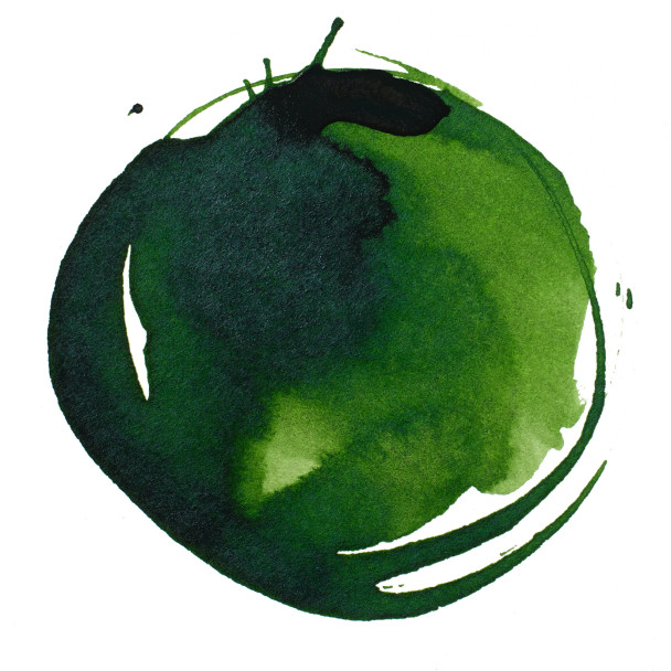 Liquitex Acrylic Inks 315 30ml Sap Green Permanent