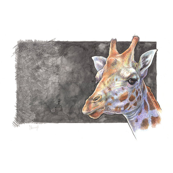 Derwent #32162 Studio Pencil Burnt Sienna 62 - Box 6 - derwent coloursoft, derwent inktense pencils, derwent drawing pencil, derwent graphitint pencil | It's A Mega Thing