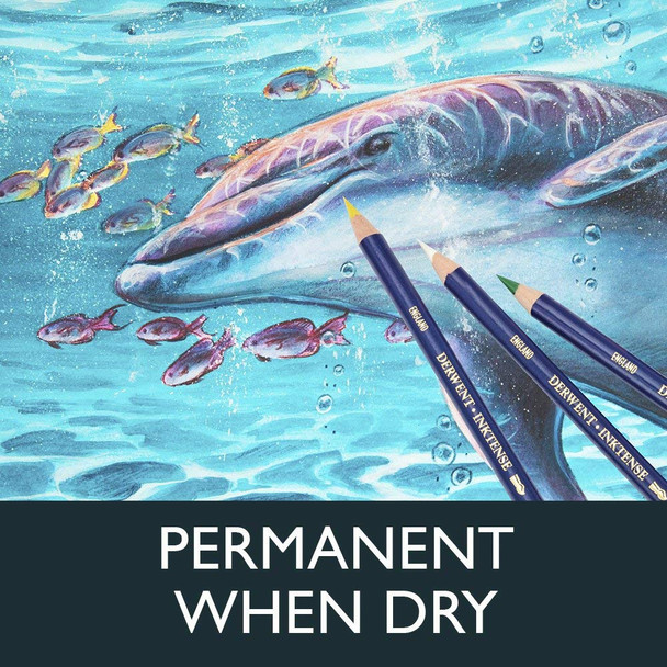Derwent #700915 Inktense Pencil Teal Green 1300 - Box 6 - derwent graphitint pencil, derwent watercolour pencil, derwent pastel pencil, derwent studio pencil | It's A Mega Thing