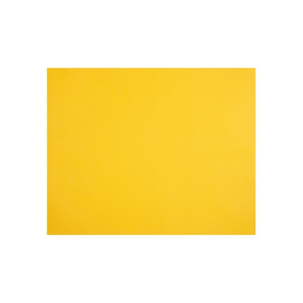 Quill Coloured Board 210gsm 510 x 635mm Sunshine Pack of 20