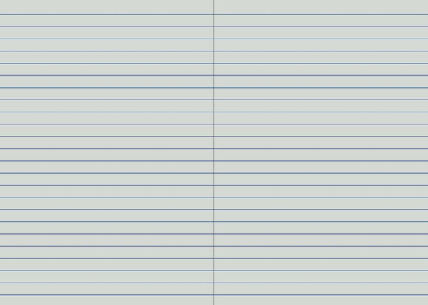 Protext Student Notebook Dark Grey 64 Page 10mm Single Ruled Pack of 20