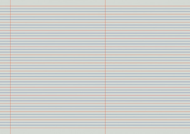 Protext Penguin Exercise Book A4 48 Page QLD Year 2 Ruled with Margin Pack of 20