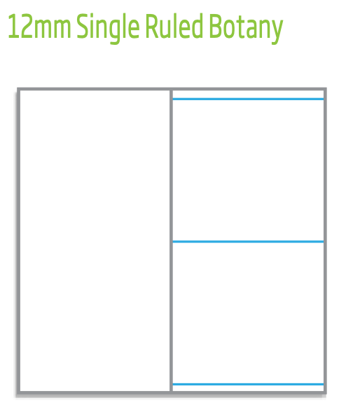 Olympic NSW Student Notebook 250 x 175mm Single Ruled 12mm Light Blue Box of 20