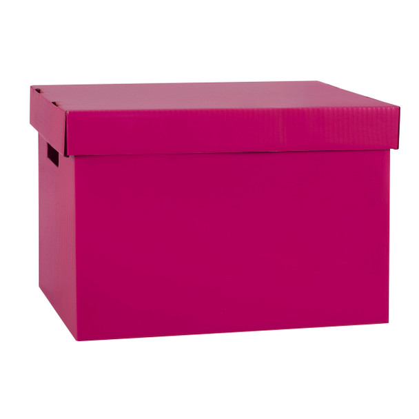 Marbig 8018103 Coloured Archive Box Berry - Pack of 10 | It's A Mega Thing