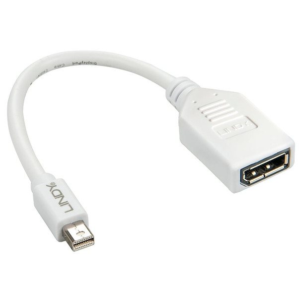 Lindy 41021 20cm Mini DisplayPort to DisplayPort Adapter Cable | It's A Mega Thing