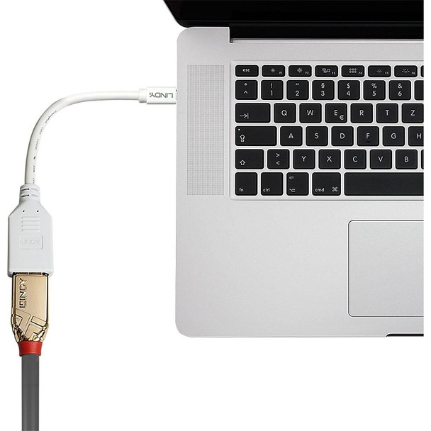 Mini DisplayPort to DisplayPort Adapter Cable Lindy 20cm