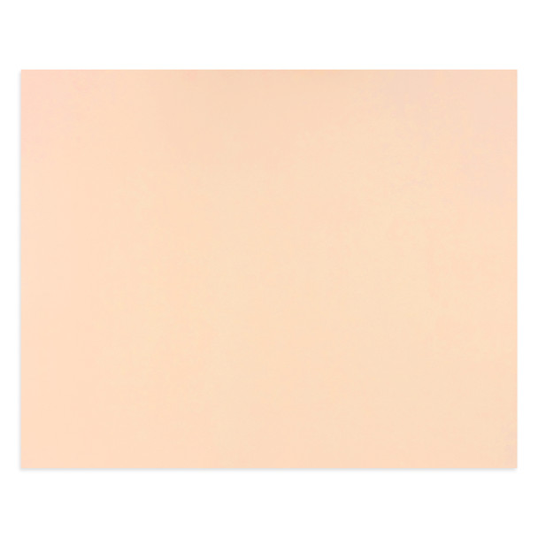 Quill Coloured Board 210gsm 510 x 635mm Pastel Peach Pack of 20