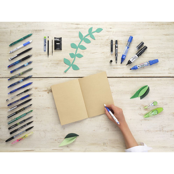 Pilot BegreeN Blue Twin Marker Permanent Dual Nib Box of 10