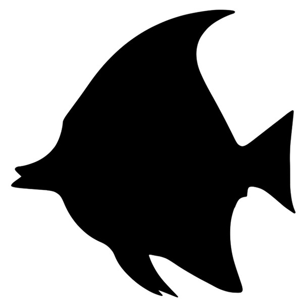 Creative School Supply Scratch Fish Pack of 24