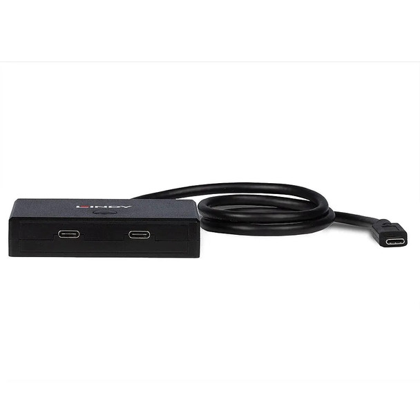 Lindy Bi-Directional Switch 2 Port USB 3.2 Gen 2 Type C | Mega Office Supplies