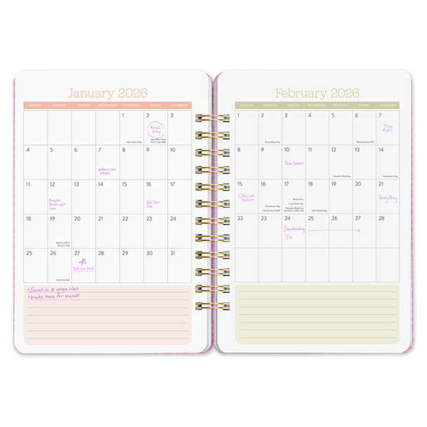 Orange Circle Planner 2026 Catching Colour Do It All | Mega Office Supplies