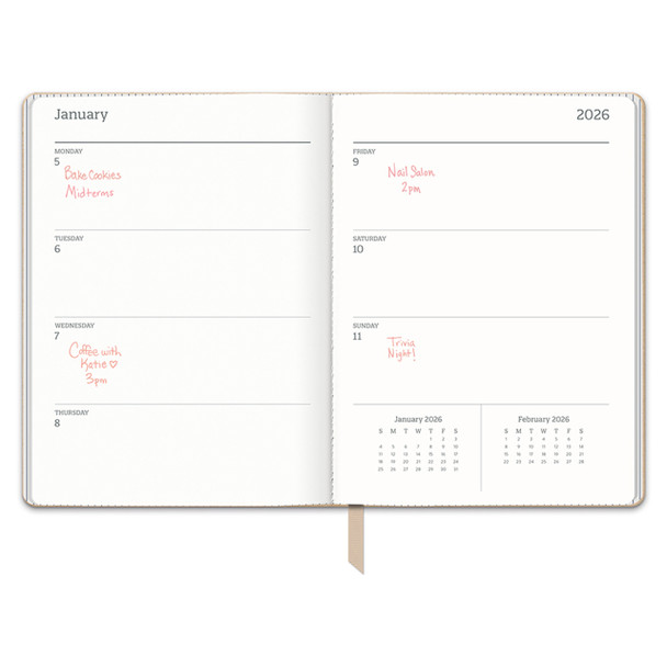 Orange Circle Diary Sand Dollar 2026 142 x 193mm Week To A View