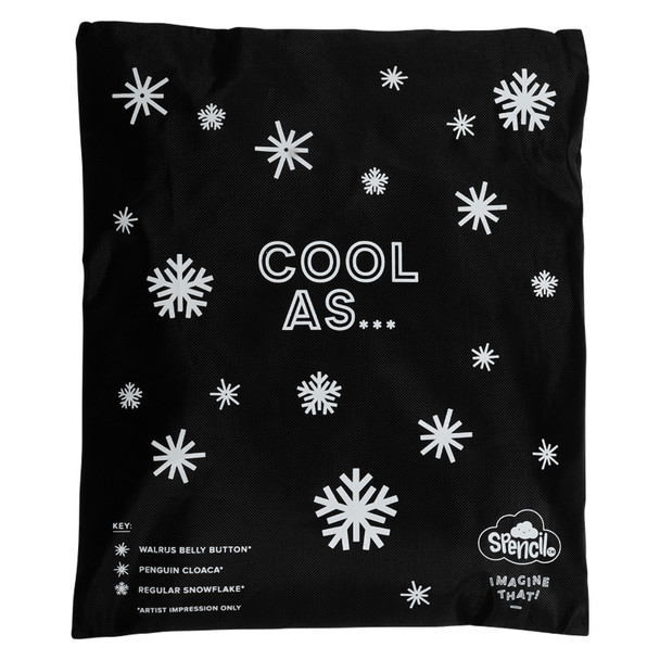 Big Cooler Lunch Bag and Chill Pack Spencil Flower Fun