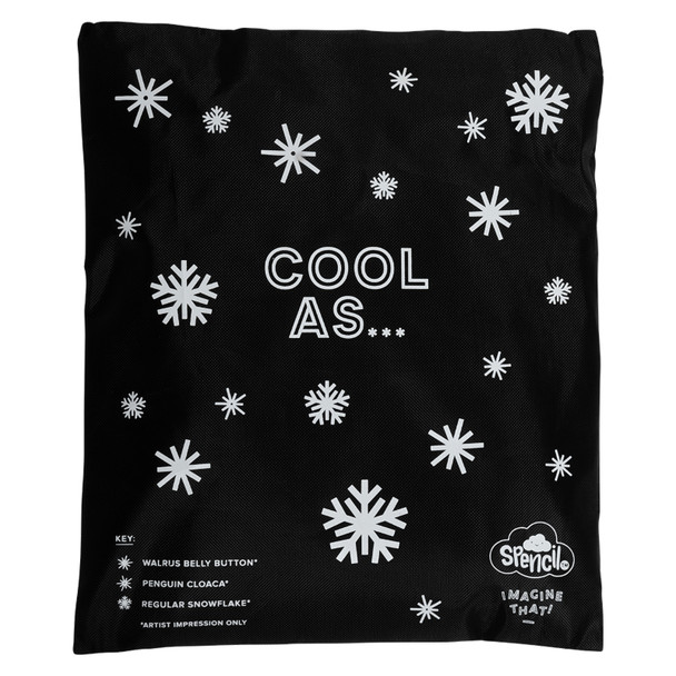 Big Cooler Lunch Bag and Chill Pack Spencil Fractal Big Cooler Lunch Bag and Chill Pack Spencil Fractal
