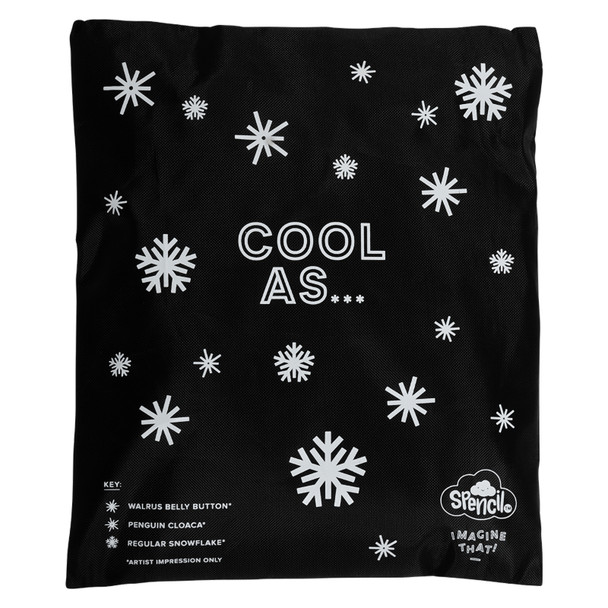 Big Cooler Lunch Bag and Chill Pack Spencil Game On