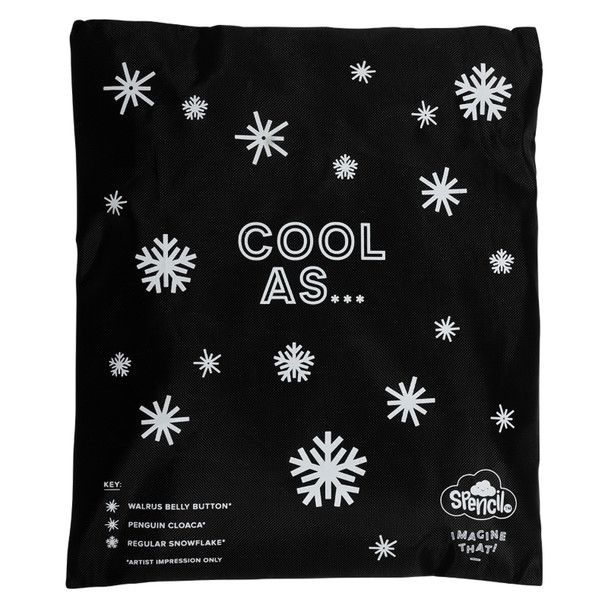 Big Cooler Lunch Bag and Chill Pack Spencil Yarrawala Big Cooler Lunch Bag and Chill Pack Spencil Yarrawala