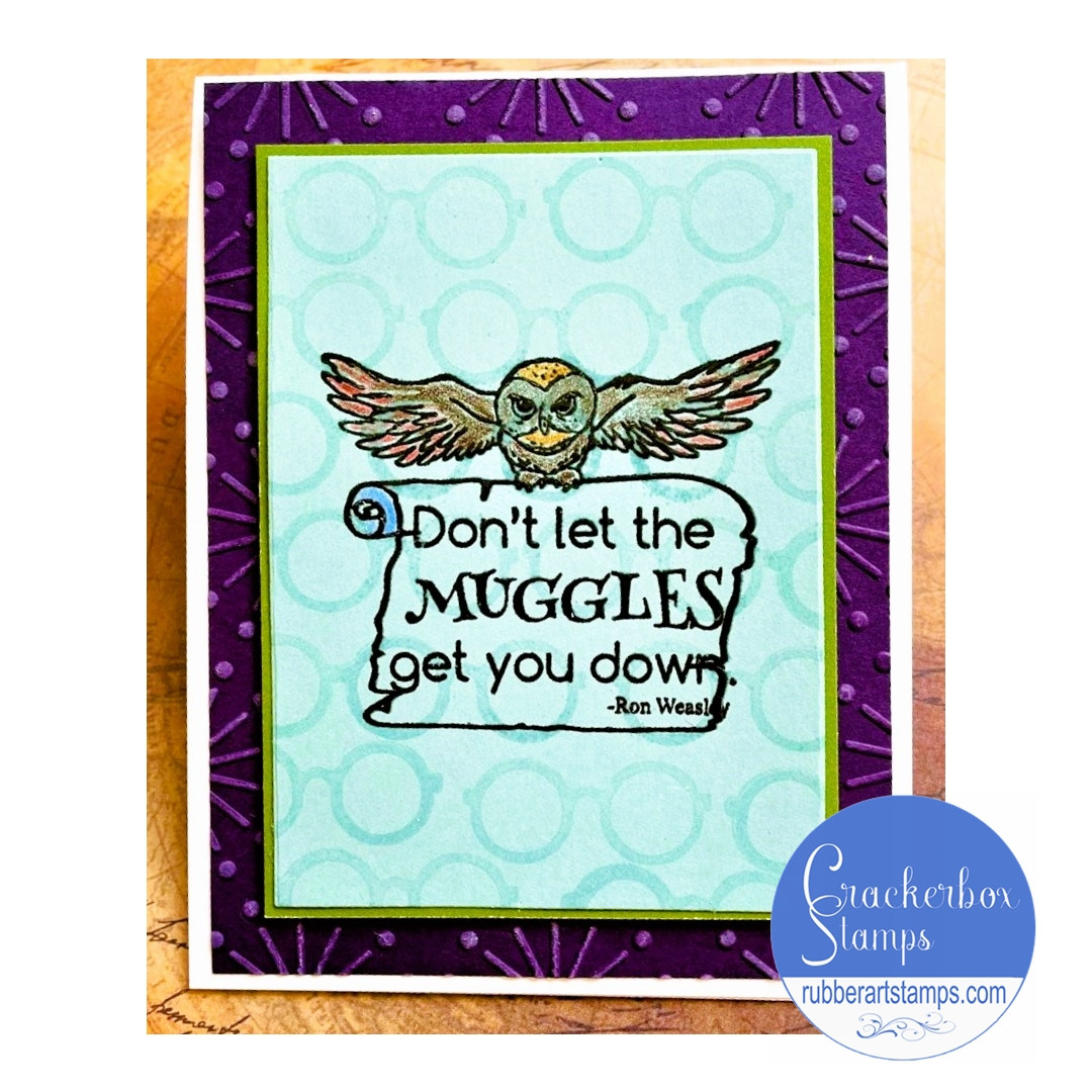 Muggle Flying Message Card