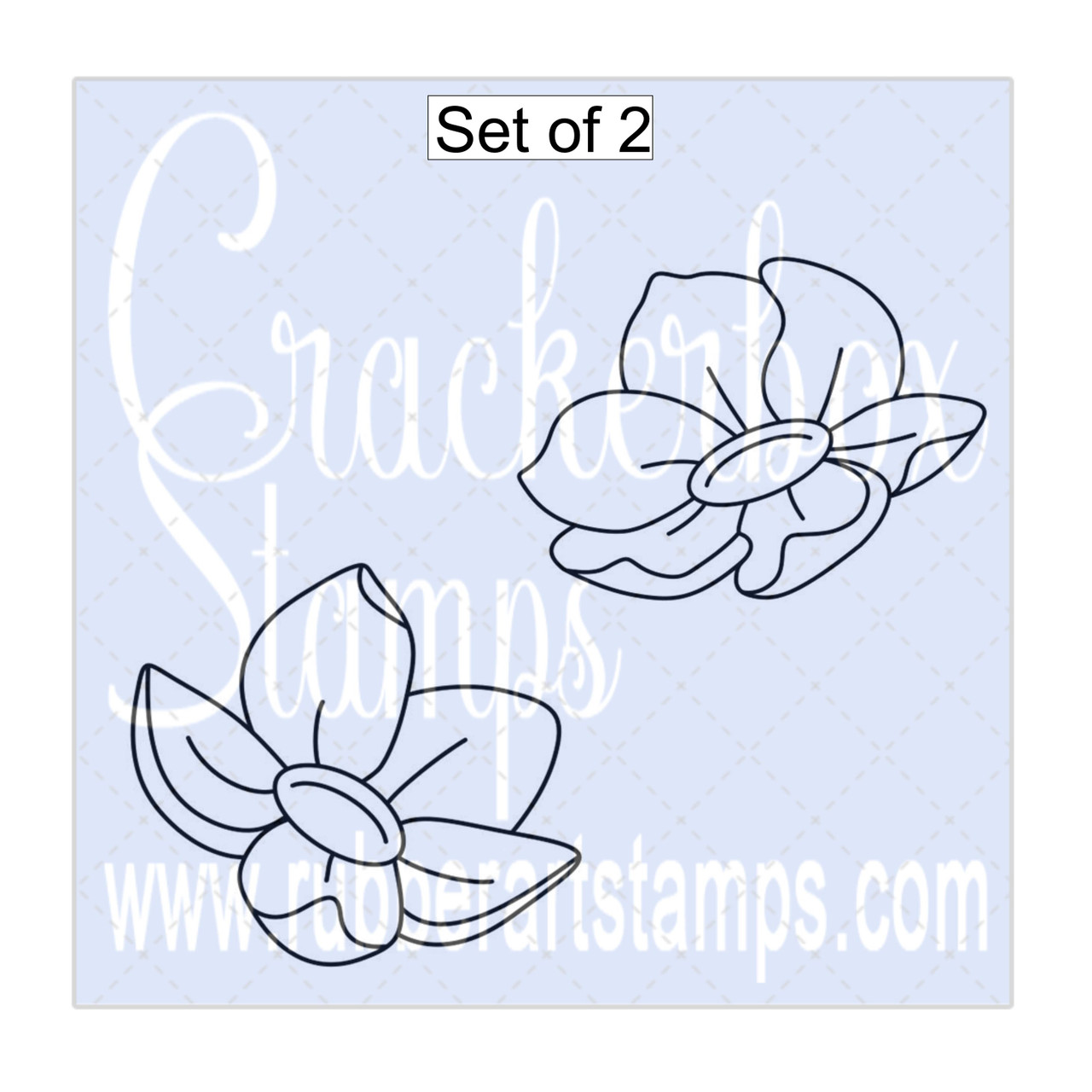 Mississippi Flower Drawing