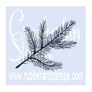 Pine Branch Pine Branch