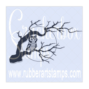 Owl in Tree Owl in Tree