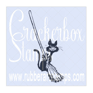 Cat and Broom Cat and Broom