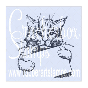 Cat with Sign Cat with Sign