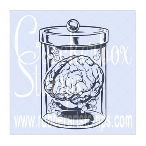 Brain In A Jar Brain In A Jar
