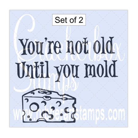 Until You Mold and Cheese Wedge