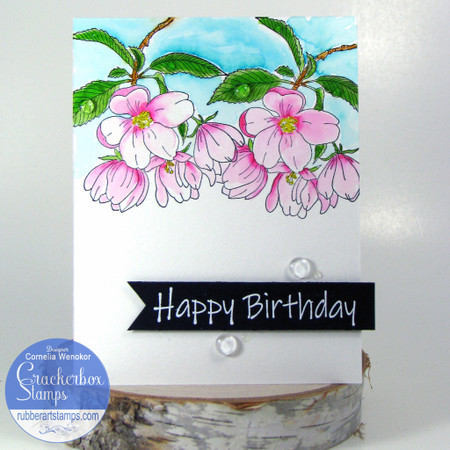 Apple Blossom Birthday Card