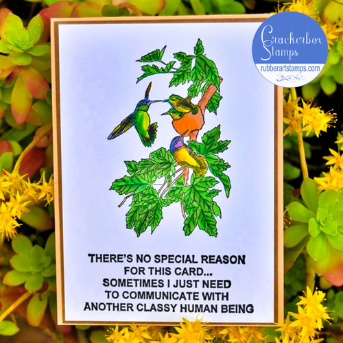 No Reason Card