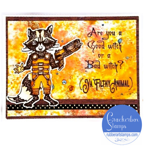 Rocket Has A Question Card