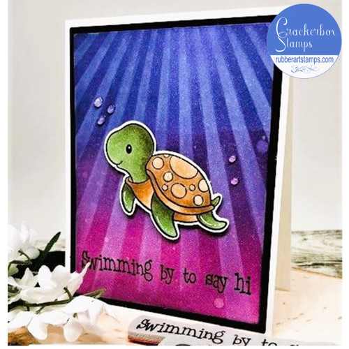 Marco Swimming By Card