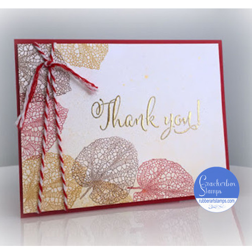 Skeleton Leaf With Fall Colors Card