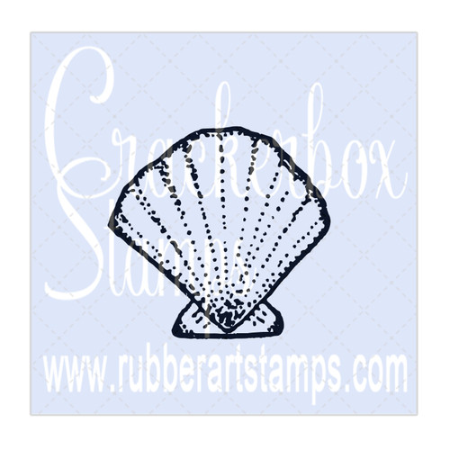 Sea Shell Scalloped